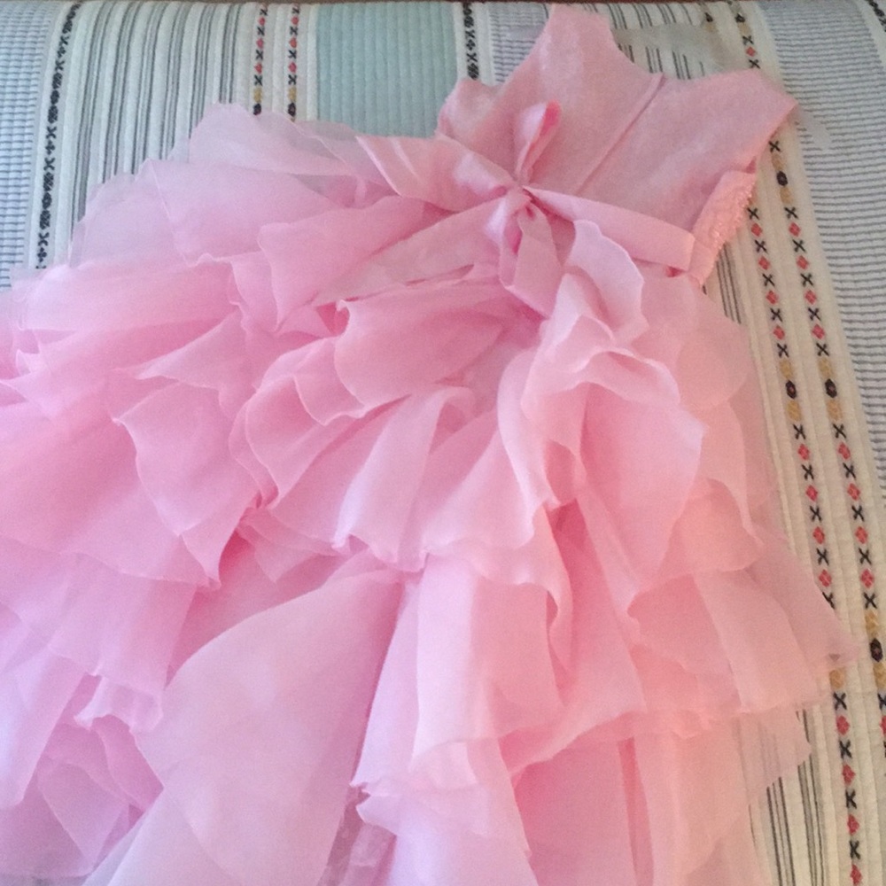 Pink Dress - Picture 9 of 16